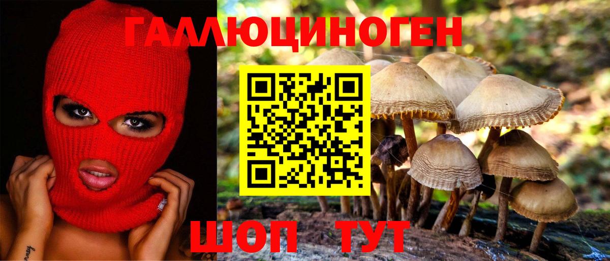 Галлюциногенные грибы Cubensis  Вход с VPN  Электрогорск 