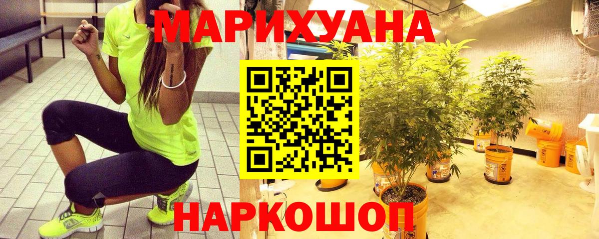 Конопля семена Электрогорск